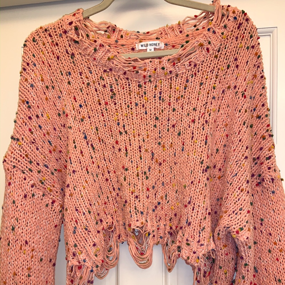 Wild Honey cropped sweater